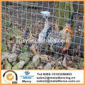 Geschweißter Maschendraht-galvanisierter Zaun-Platten-Huhn Hen House Hutch Pet-Lauf 25M x 1M